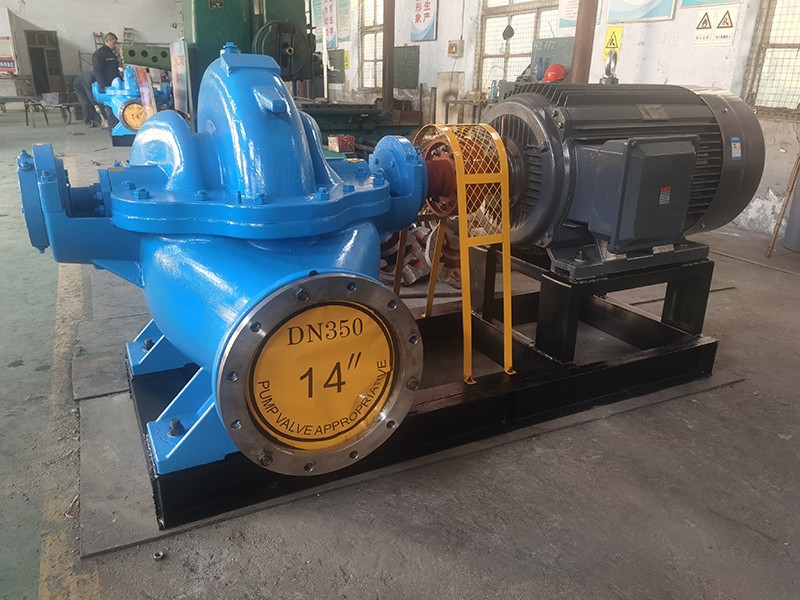 博山香蕉视频在线免费